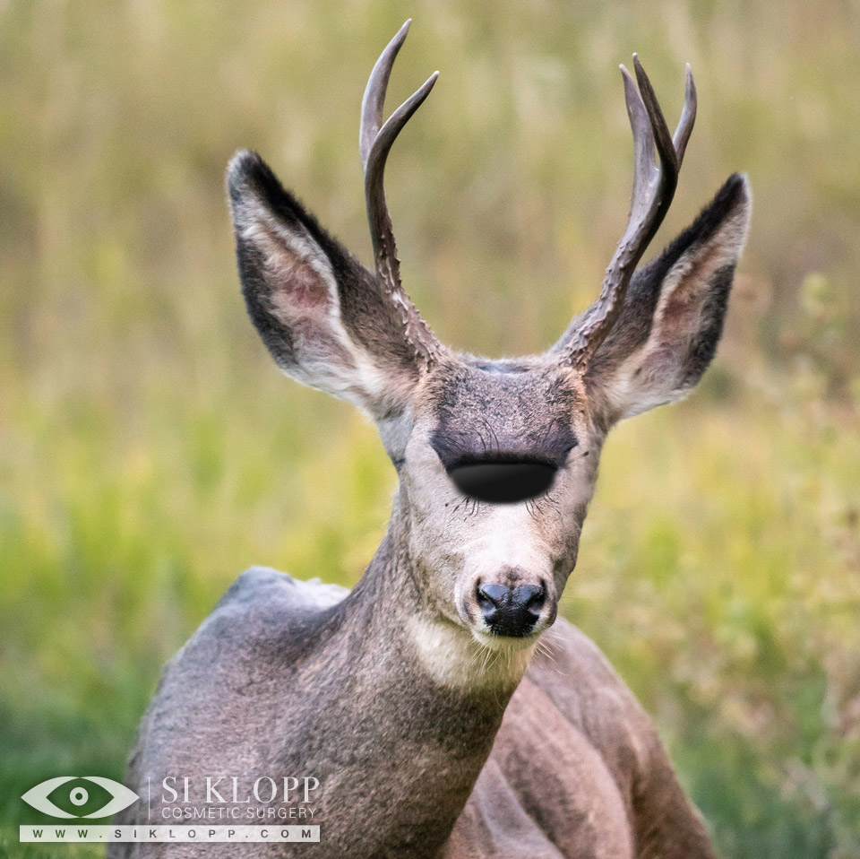 Cycloped Elliot Flag Deer